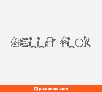 Bella Flor